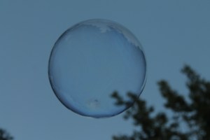 IMG_5295