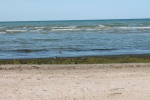 IMG_5348